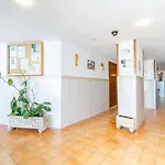 Estudio Con Jacuzzi Y Vistas Al Mar * Empuriabrava